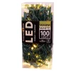 Boutique de Noël Light Sets*100-Light 5Mm Warm White Led Green Wire Light Set