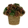 Boutique de Noël Rustic*Rustic Pot With Pinecones
